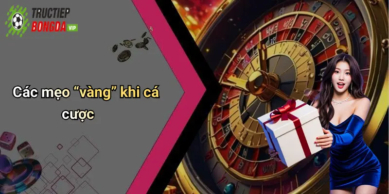 Các mẹo “vàng” khi cá cược