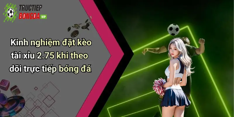 Kinh nghiệm đặt kèo tài xỉu 2.75 khi theo dõi trực tiếp bóng đá