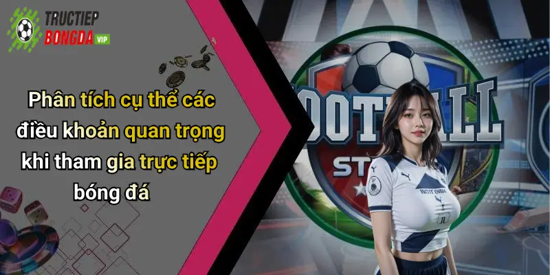 Phân tích cụ thể các điều khoản quan trọng khi tham gia trực tiếp bóng đá