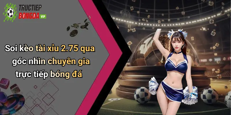 Soi kèo tài xỉu 2.75 qua góc nhìn chuyên gia trực tiếp bóng đá