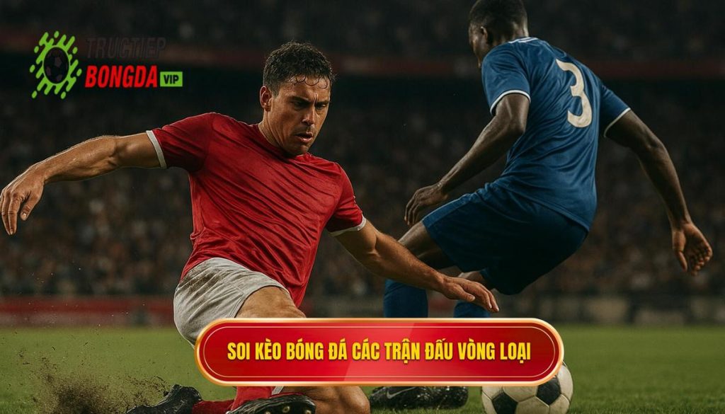 Soi kèo bóng đá các trận đấu vòng loại