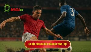 Soi kèo bóng đá các trận đấu vòng loại