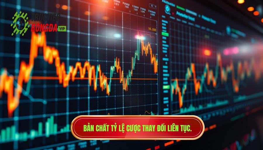 Hiểu bản chất của việc tỷ lệ cược thay đổi liên tục theo thời gian thực
