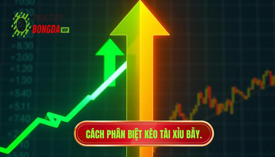 Phân biệt kèo tài xỉu tăng mạnh "thật" và "bẫy" nhà cái