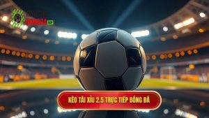 Kèo tài xỉu 2.5 toàn trận là gì? Kinh nghiệm soi kèo từ cao thủ