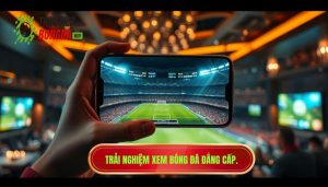 Xem bóng đá trực tiếp trên điện thoại: Xu hướng và giải pháp tối ưu cho người hâm mộ
